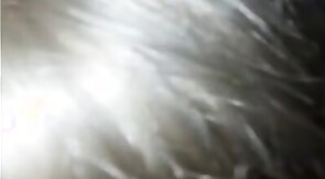 Herrenschwanz lutschen - sucking masters cock