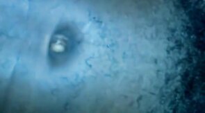 Black Frotting at Night