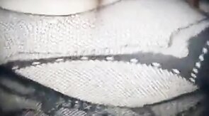 Bear CD bttm gets bred by top bear