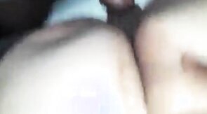 Bear CD bttm gets bred by top bear