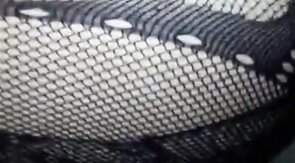 Bear CD bttm gets bred by top bear