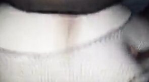 Bear CD bttm gets bred by top bear