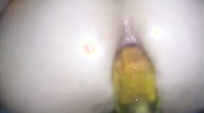 huge dildo in my small ass