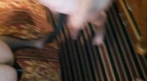 Sissy Pegged and Serves Cock