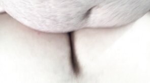 Fucking Some Chub Ass