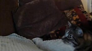 cute guy get bj.... with a big finish