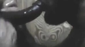 BBC Getting Sucked Through Glory hole & Swallows Cum