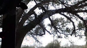 Jerking off roadside after class