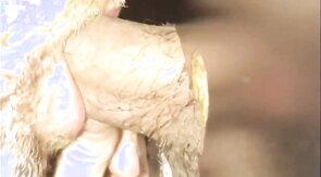 Gloryhole blowjob CIM