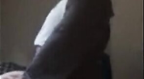 Craigslist Cub Breeds Bear Pussy