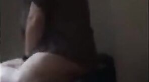 Craigslist Cub Breeds Bear Pussy