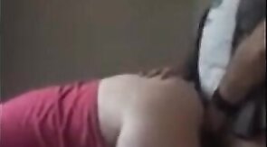 Craigslist Cub Breeds Bear Pussy