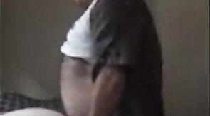 Craigslist Cub Breeds Bear Pussy