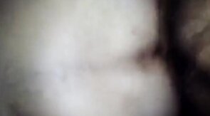 He likes the bear cock