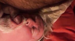 Daddy sucking  cub