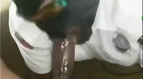 Sucking big dick good