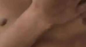 Latino Privat