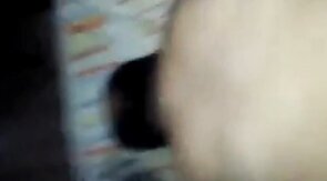 He likes the bear cock