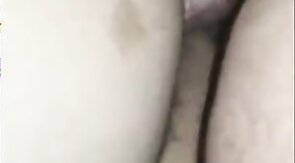 Black Bear Breeds Latino Twink