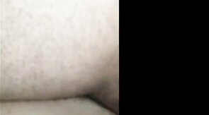 Black Bear Breeds Latino Twink