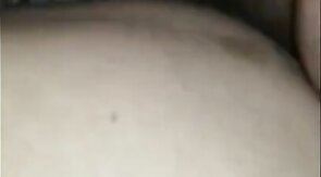 Black Bear Breeds Latino Twink