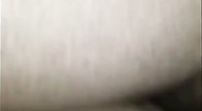 Black Bear Breeds Latino Twink