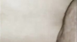 Black Bear Breeds Latino Twink