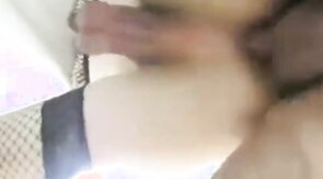 CD Fucked on a Leash