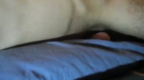 Blue pillow humping cum