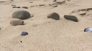 Nudist beach whiteford sands part 2