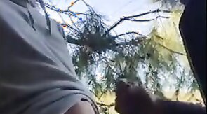 Mamandola Blowjob