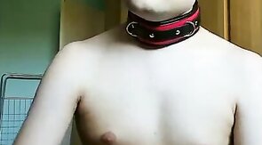 Chastity and anal (ass-to-mouth)