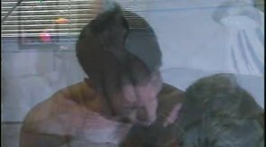 Athletic males are having a sweet oral sex on the sofa