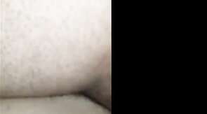 Black Bear Breeds Latino Twink