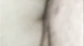 Black Bear Breeds Latino Twink