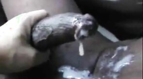 Milking the Homeless