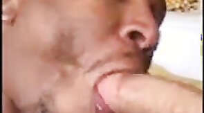 Hung White Boy Grabs Black Bitch Head Fuck