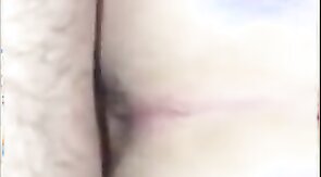 White Chub Breeds For The First Time