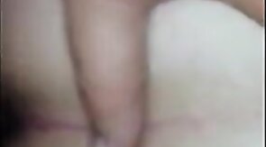 White Chub Breeds For The First Time