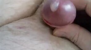 Cum 156