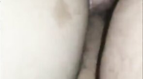 Black Bear Breeds Latino Twink