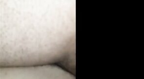 Black Bear Breeds Latino Twink