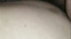 Black Bear Breeds Latino Twink