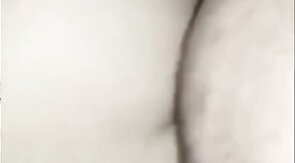 Black Bear Breeds Latino Twink