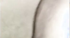 Black Bear Breeds Latino Twink