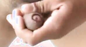 Latino Privat