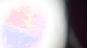 Baise en bouche et ejacule dedans