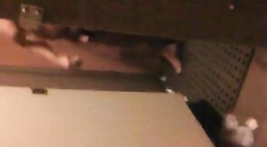 Flagra de pau duro no banheiro