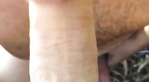 Blowjob at the beach