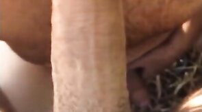 Blowjob at the beach